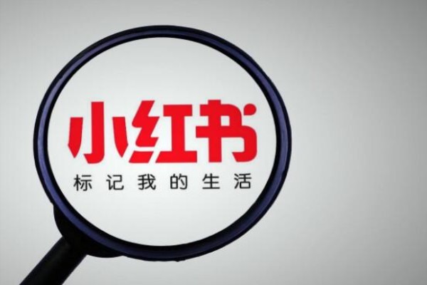 交易猫易找回账号？